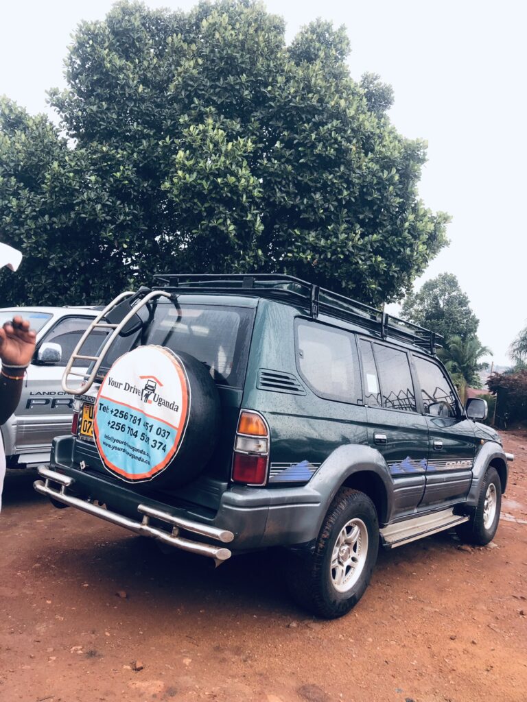 Self drive East Africa